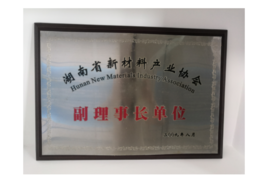 2009年湖南省新材料产业协会副理事长单位