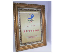 2012年2012年度发明专利实施奖