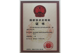 技术发明一等奖